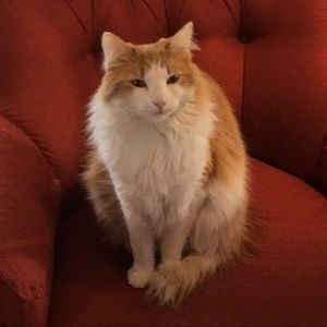 Meet your Posher, Donna